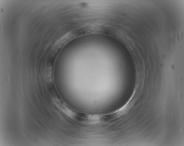 X0000064040144200601271211