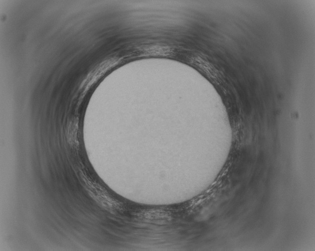 X0000064040146200601271211