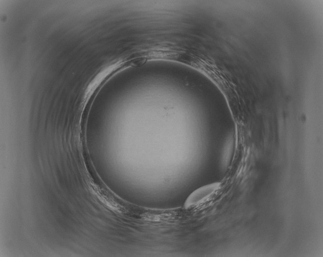 X0000064040147200601271211