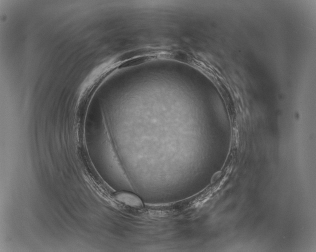 X0000064040149200601271211