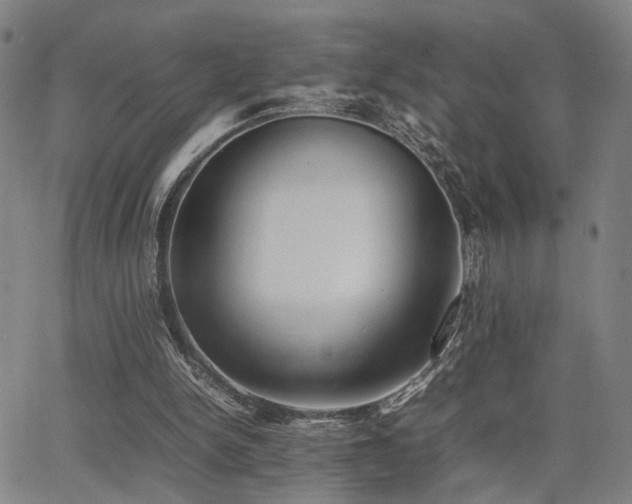 X0000064040150200601271211