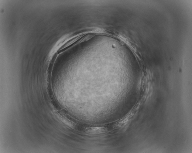 X0000064040151200601271211