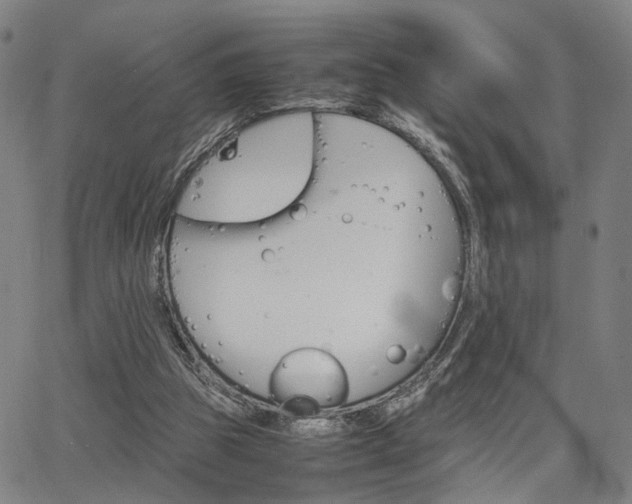 X0000064040153200601271211