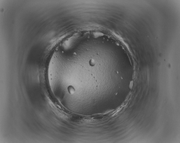 X0000064040154200601271211