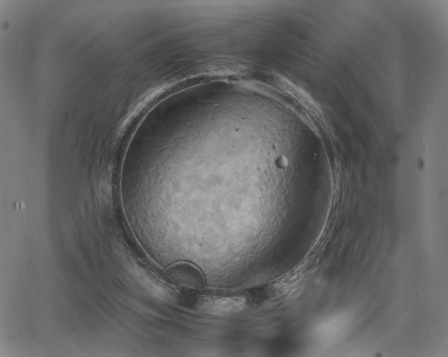 X0000064040155200601271211