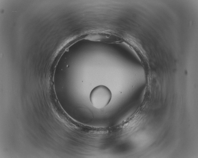 X0000064040156200601271211