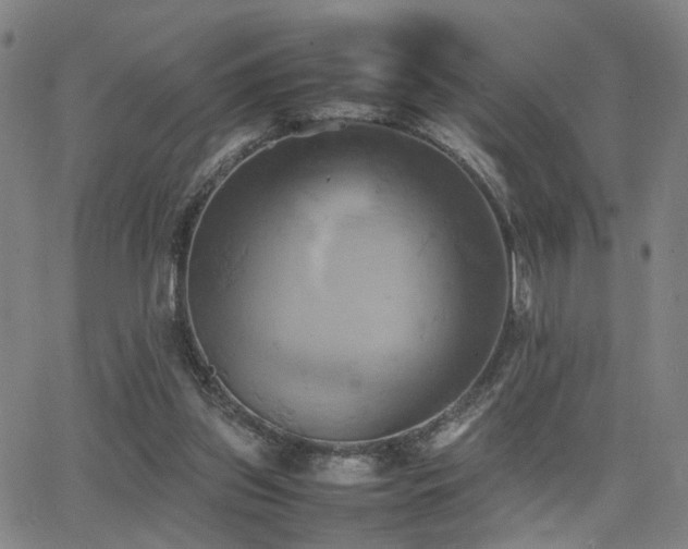 X0000064040157200601271211