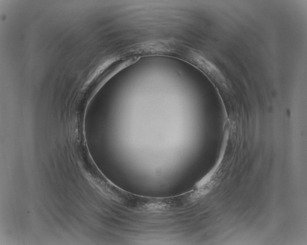 X0000064040158200601271211