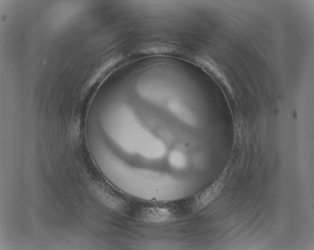 X0000064040159200601271211