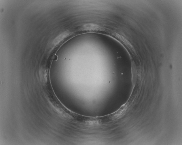 X0000064040160200601271211