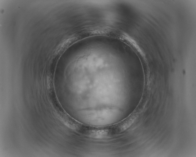 X0000064040161200601271211