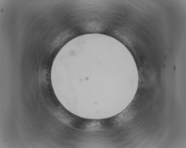 X0000064040162200601271211