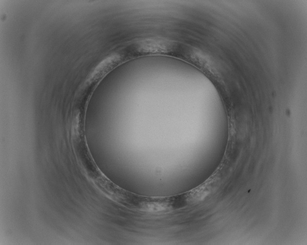 X0000064040163200601271211