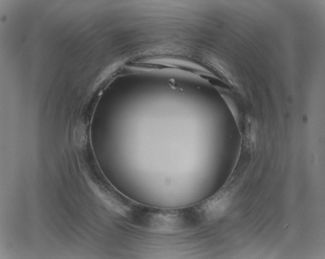 X0000064040164200601271211