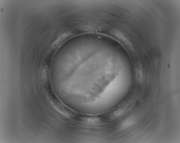 X0000064040165200601271211