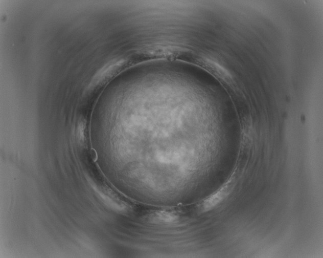 X0000064040166200601271211