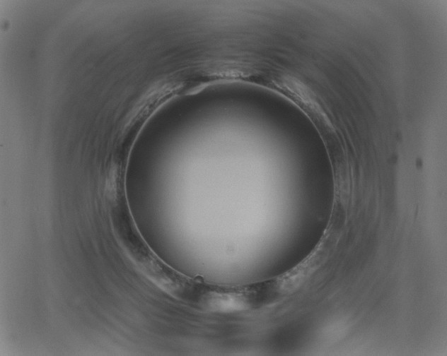 X0000064040167200601271211