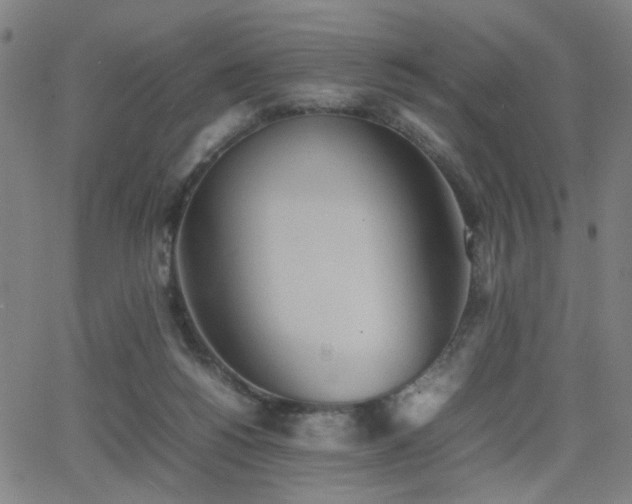 X0000064040168200601271211