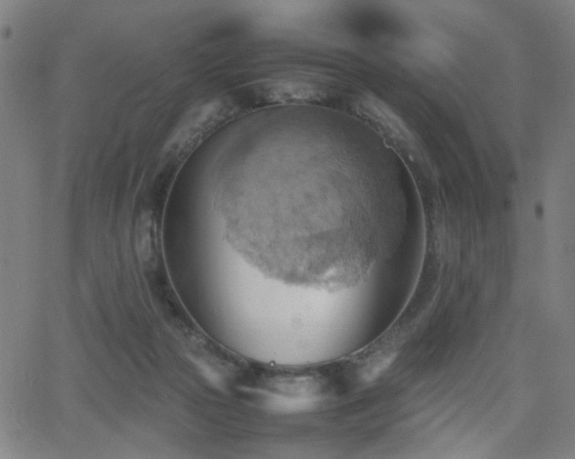 X0000064040169200601271211