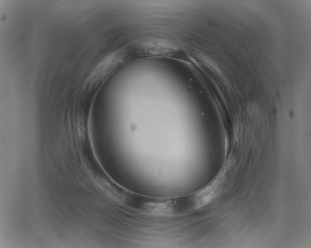 X0000064040170200601271211