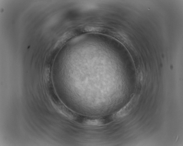 X0000064040171200601271211