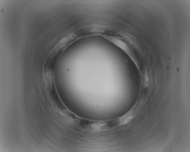 X0000064040172200601271211