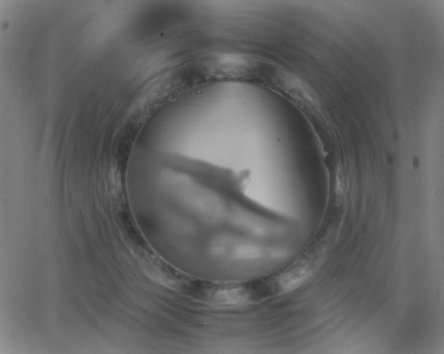 X0000064040173200601271211