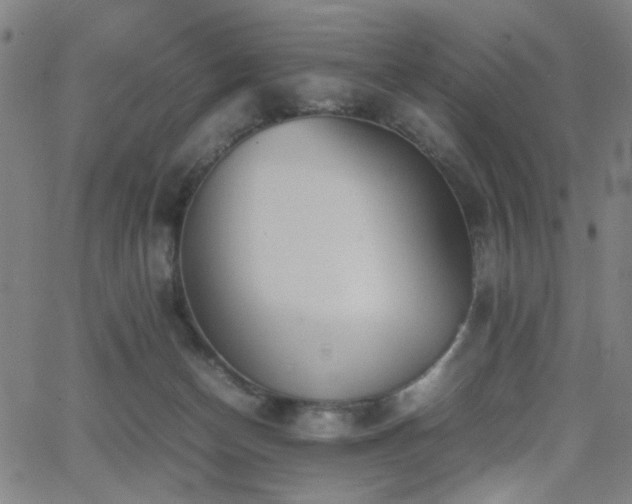 X0000064040174200601271211