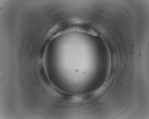 X0000064040176200601271211