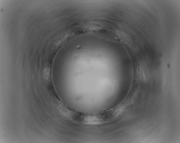 X0000064040177200601271211