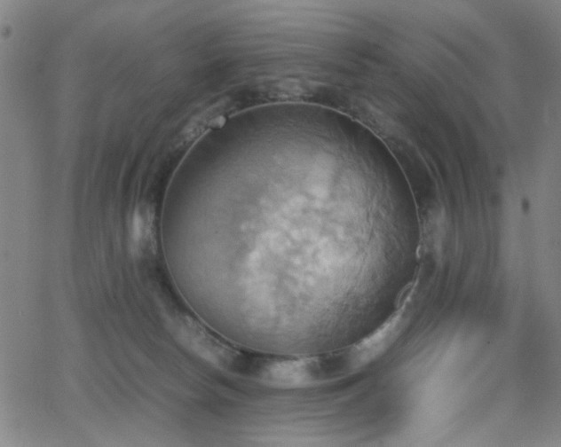 X0000064040178200601271211