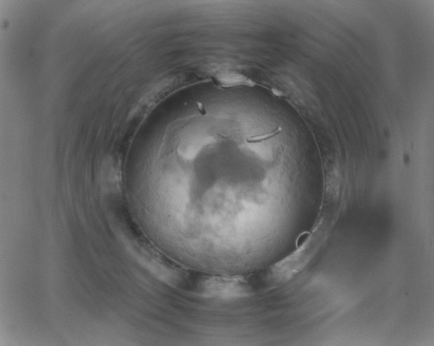 X0000064040179200601271211