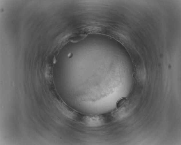 X0000064040181200601271211