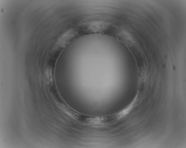 X0000064040182200601271211