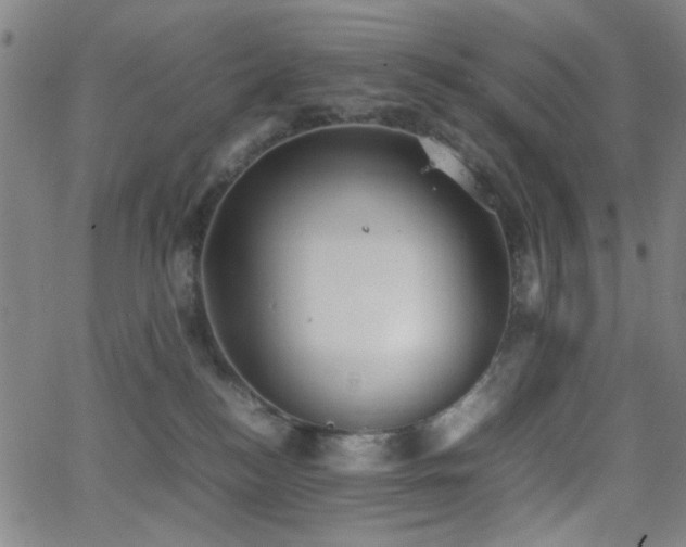 X0000064040184200601271211