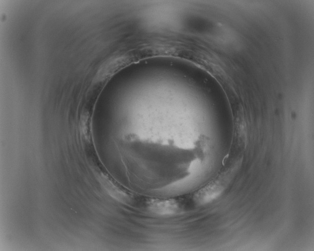 X0000064040185200601271211