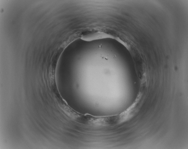 X0000064040186200601271211