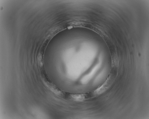 X0000064040187200601271211