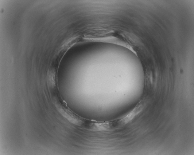 X0000064040188200601271211