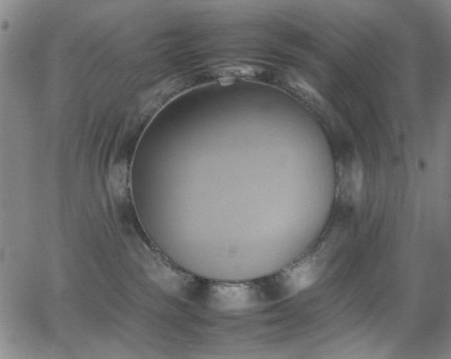 X0000064040189200601271211