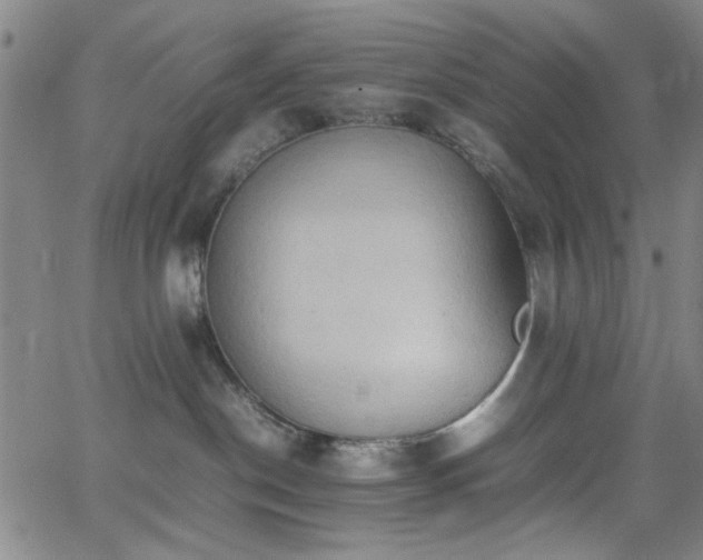 X0000064040190200601271211