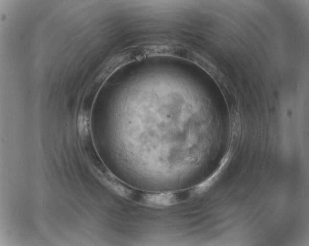 X0000064040191200601271211