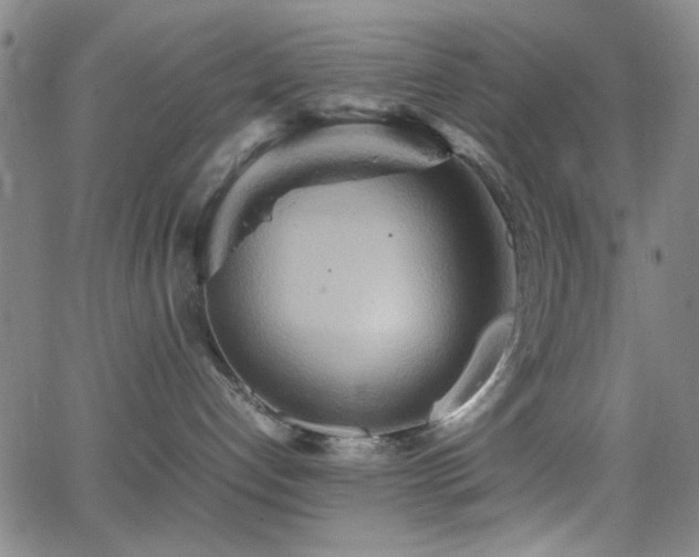 X0000064040192200601271211