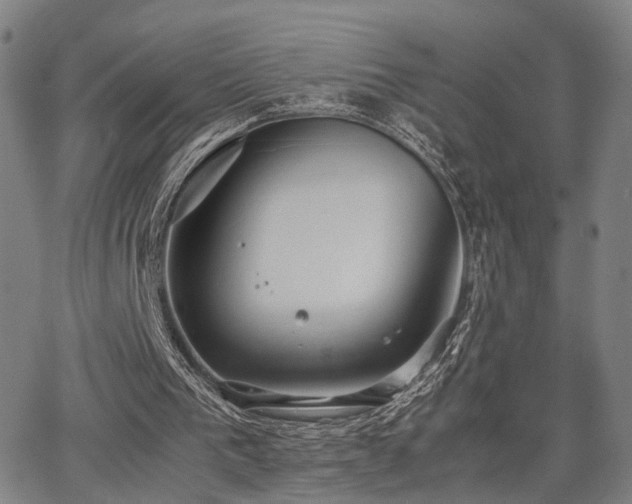 X0000064040193200601271210