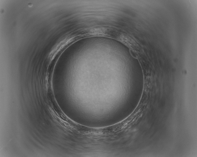 X0000064040194200601271210