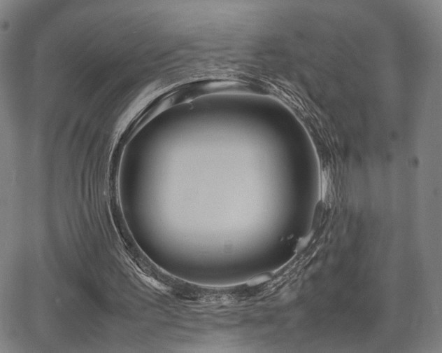 X0000064040195200601271210