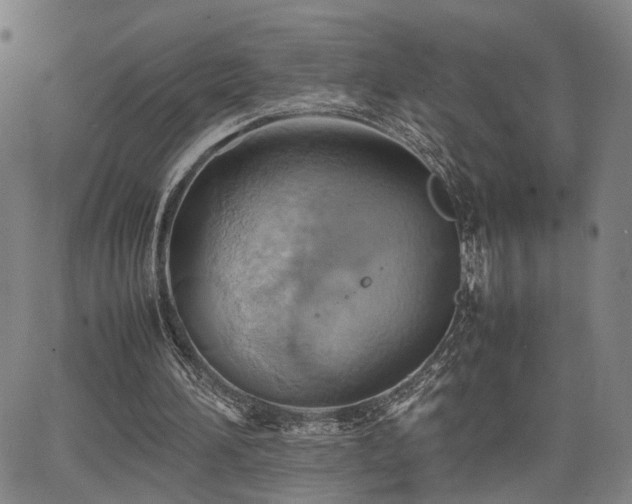 X0000064040196200601271210