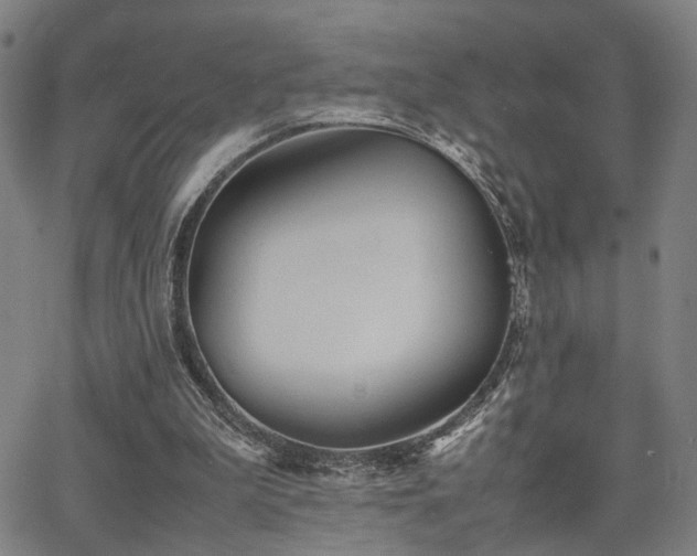 X0000064040199200601271210