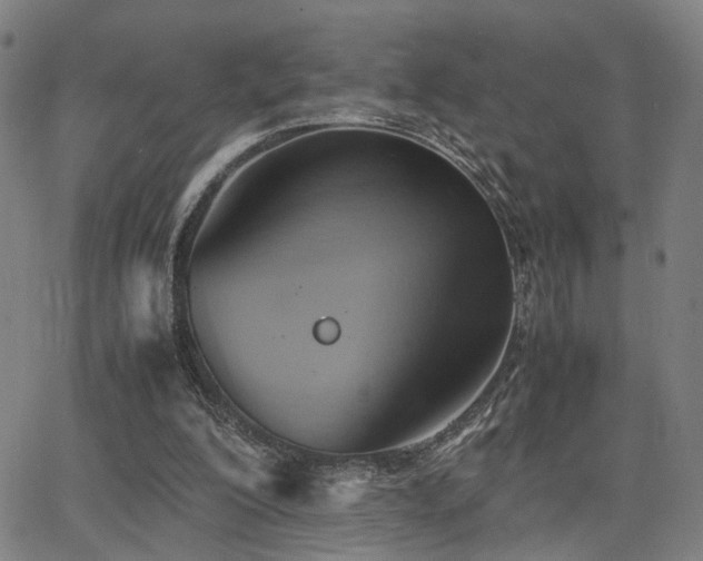 X0000064040200200601271210