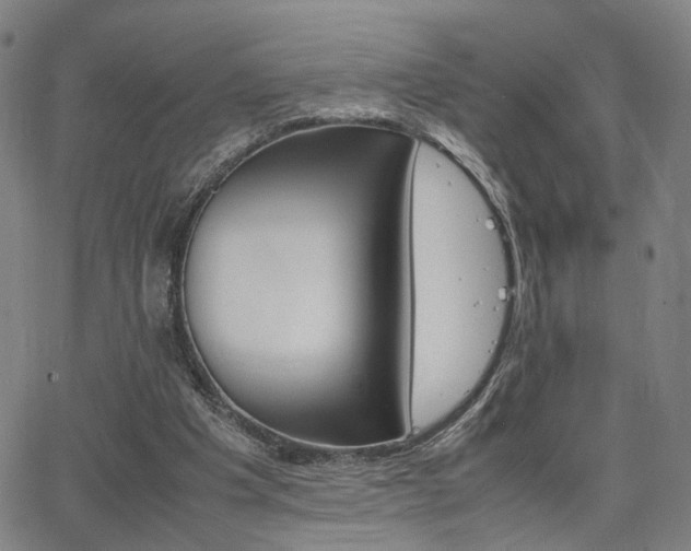 X0000064040201200601271210